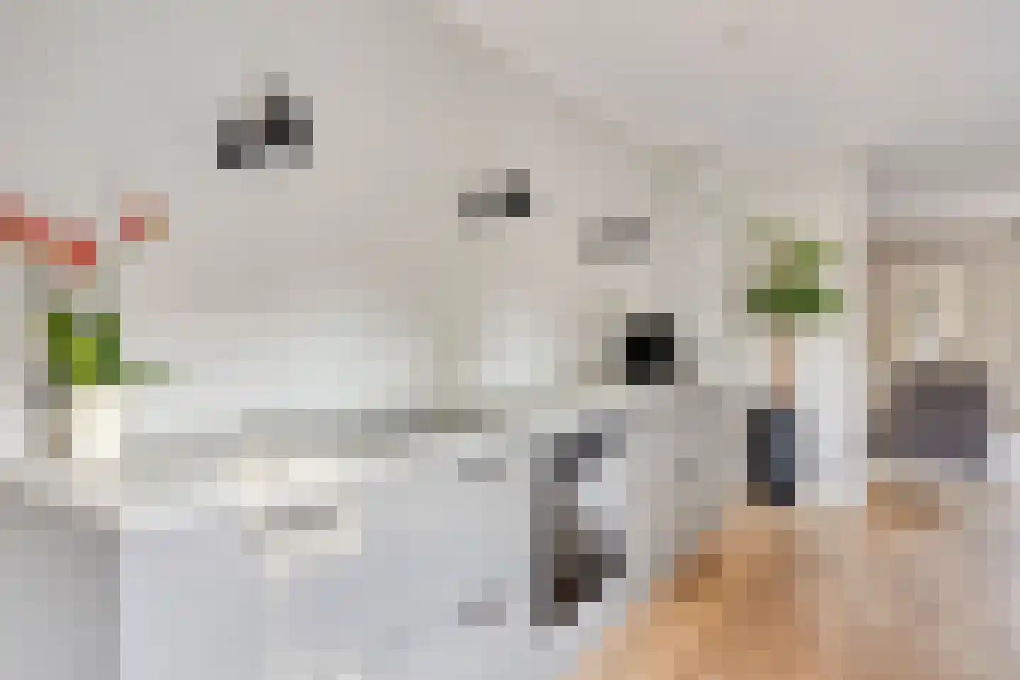 Ekkersrijt 11 Tilburg thumbnail 16