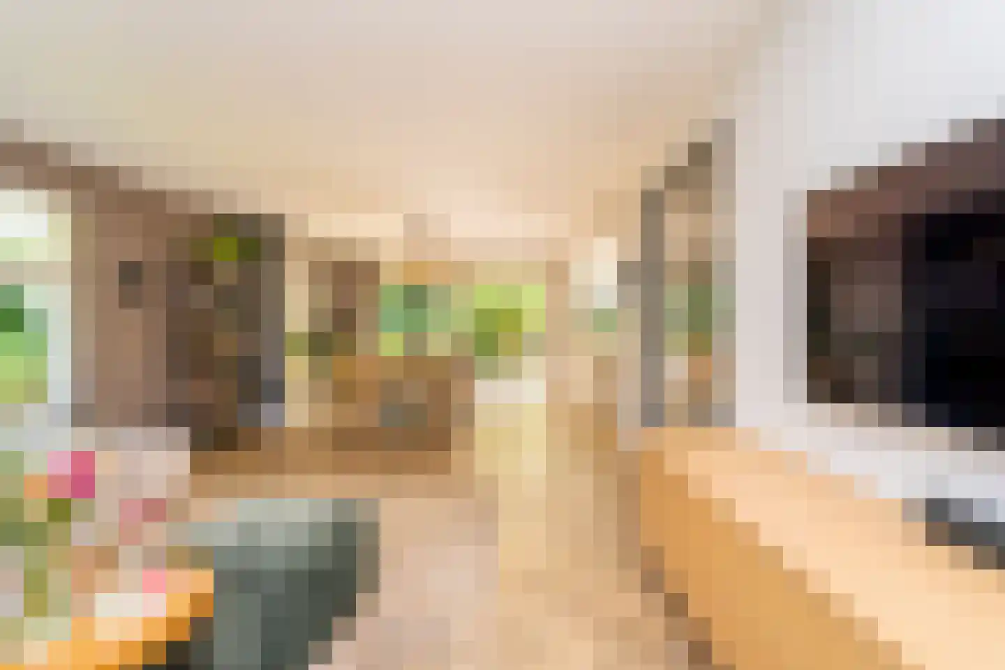Ekkersrijt 39 Tilburg thumbnail 12