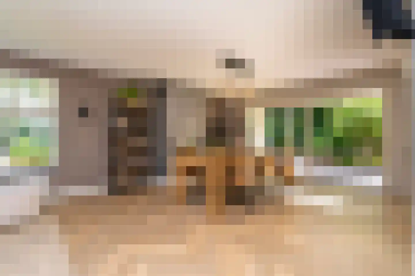 Ekkersrijt 39 Tilburg thumbnail 13