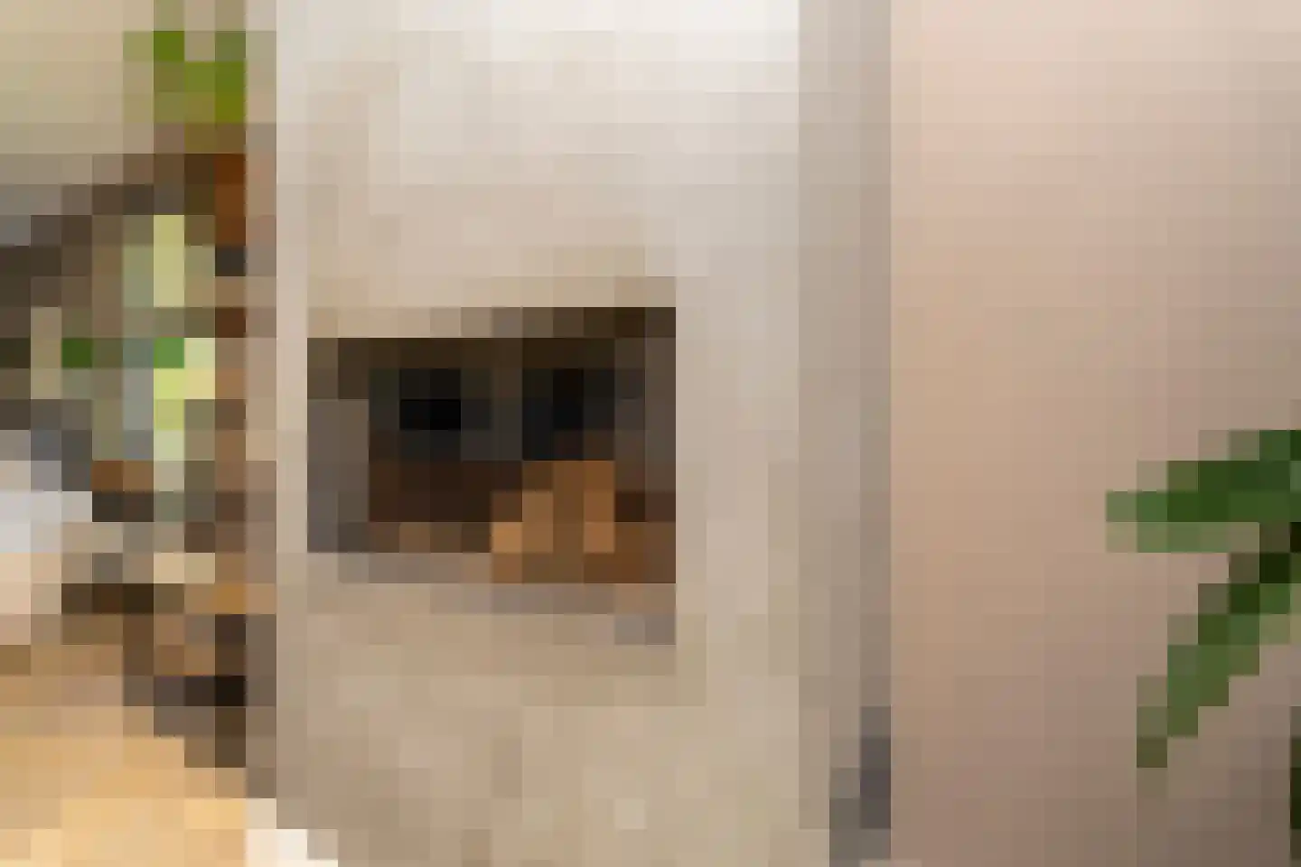 Ekkersrijt 39 Tilburg thumbnail 15