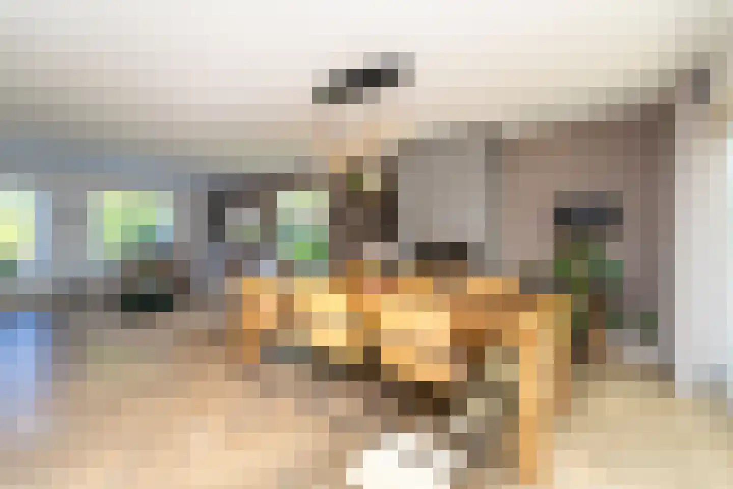 Ekkersrijt 39 Tilburg thumbnail 17