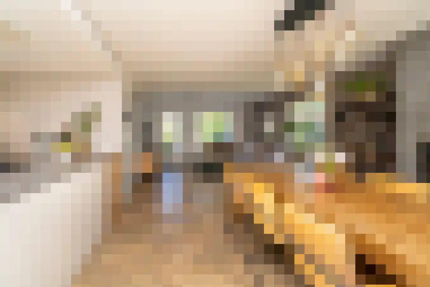 Ekkersrijt 39 Tilburg thumbnail 18