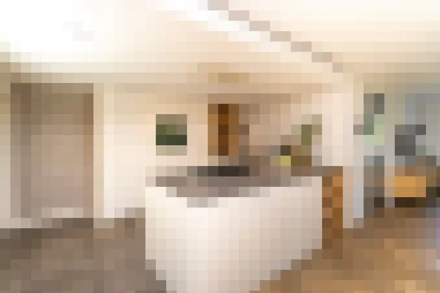 Ekkersrijt 39 Tilburg thumbnail 19