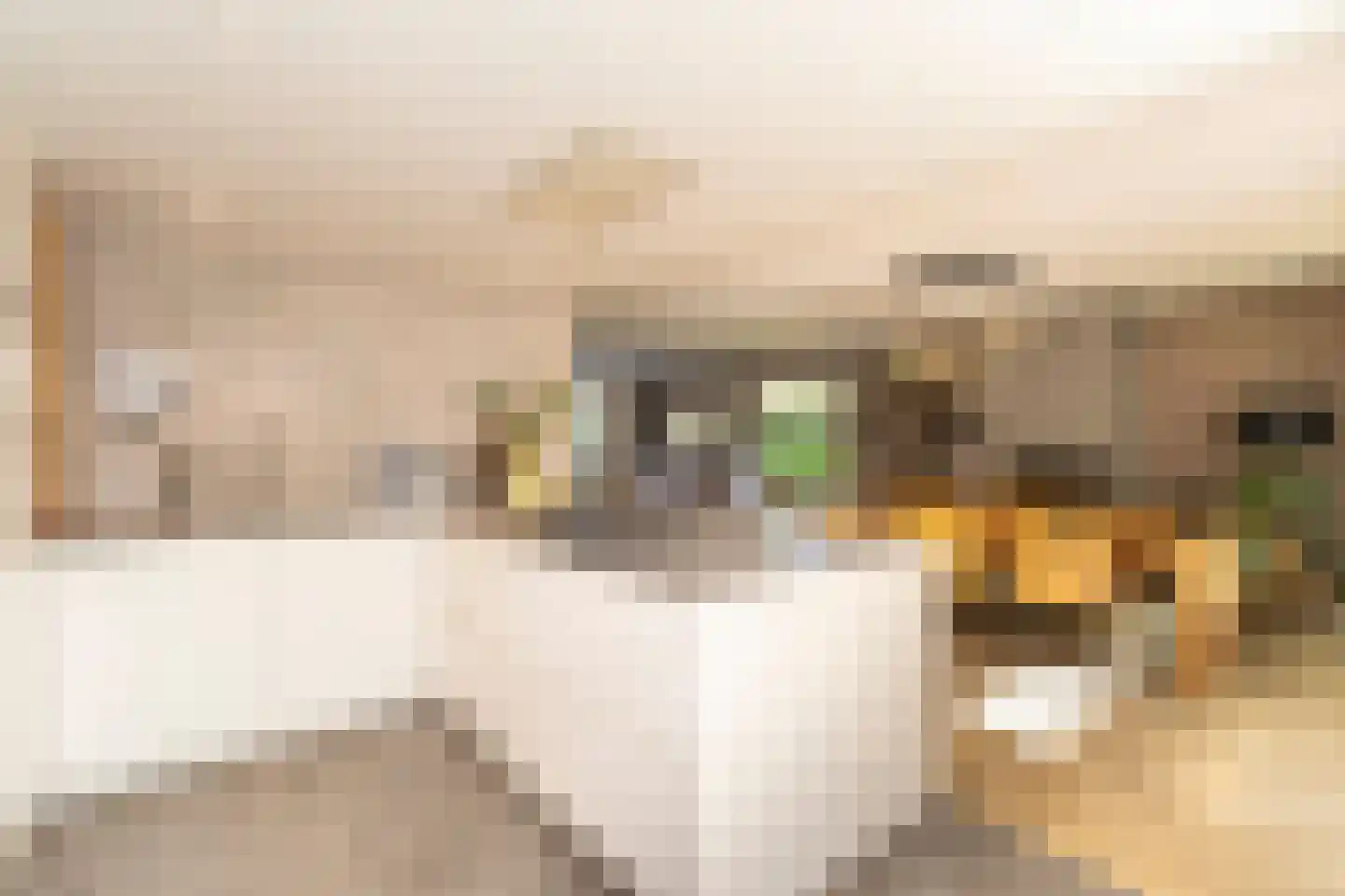 Ekkersrijt 39 Tilburg thumbnail 20