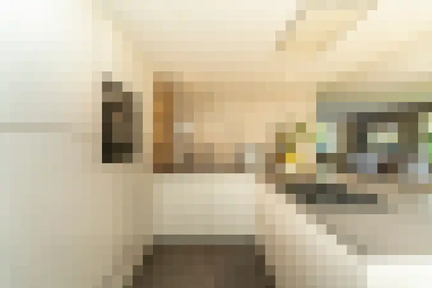 Ekkersrijt 39 Tilburg thumbnail 21