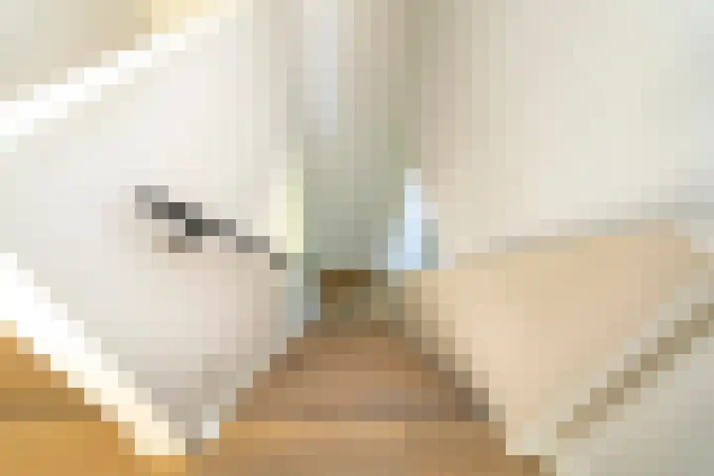 Ekkersrijt 39 Tilburg thumbnail 30