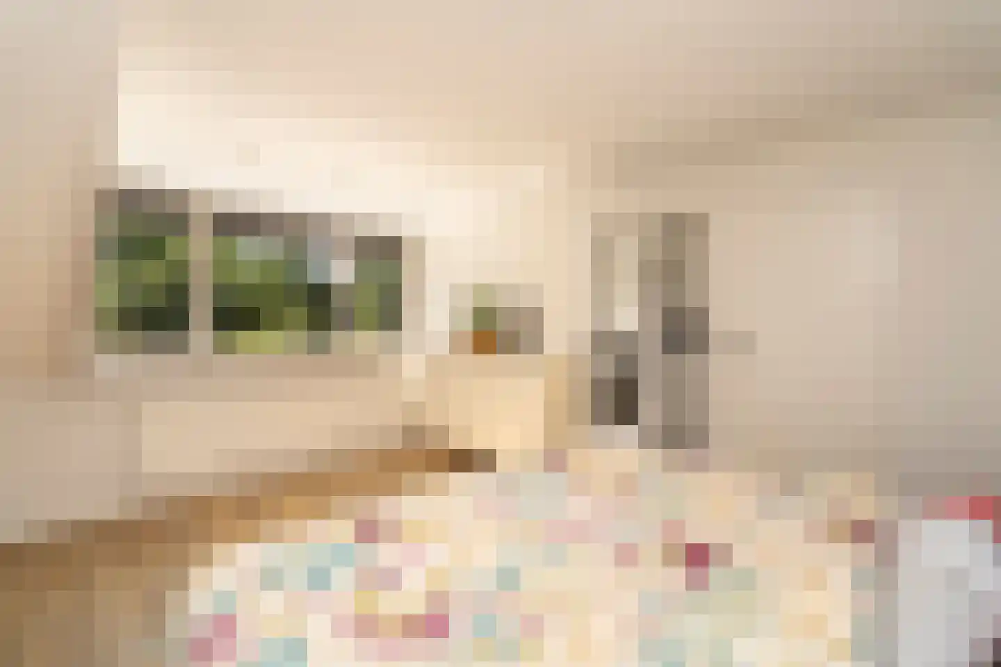 Ekkersrijt 39 Tilburg thumbnail 35
