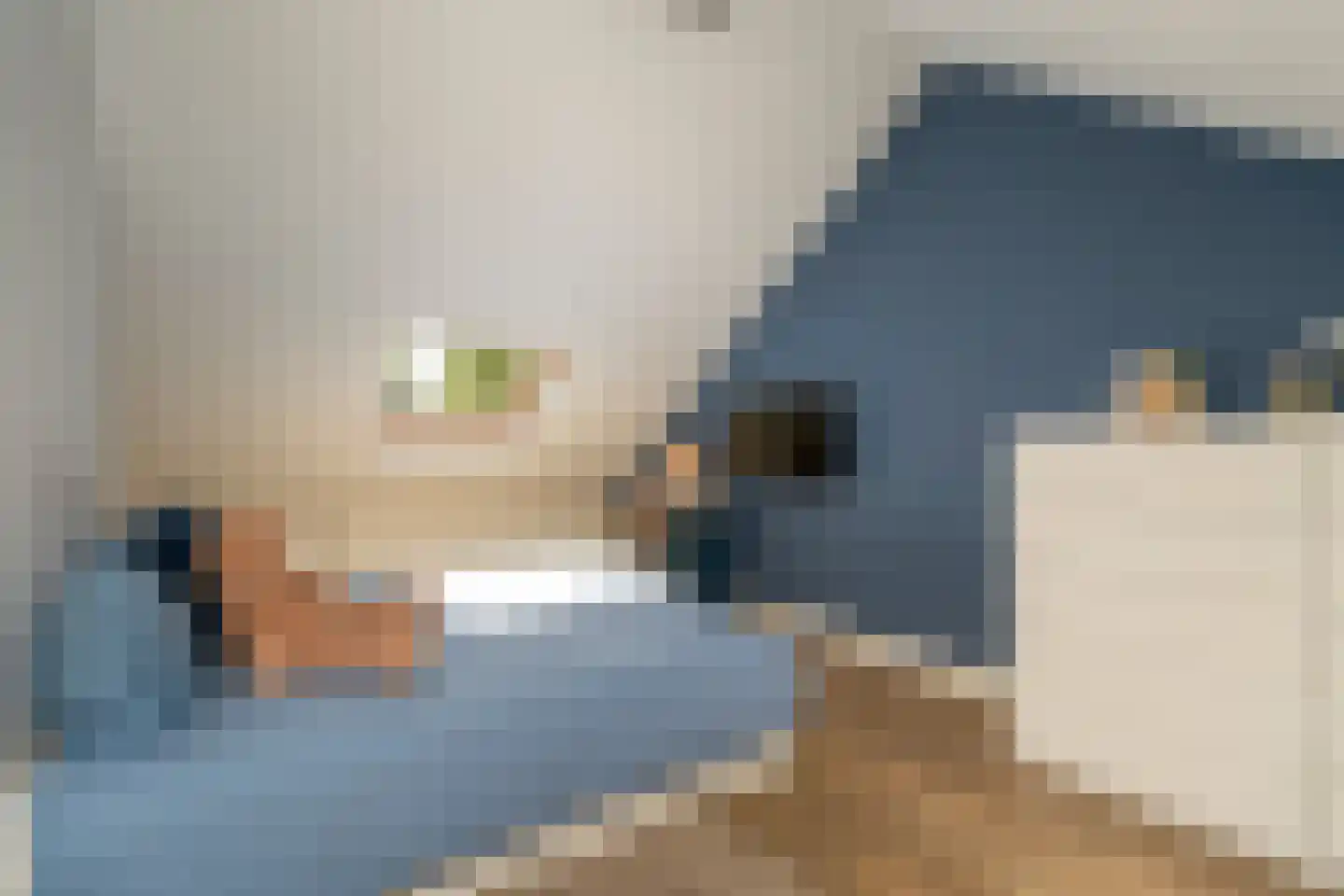 Ekkersrijt 39 Tilburg thumbnail 36