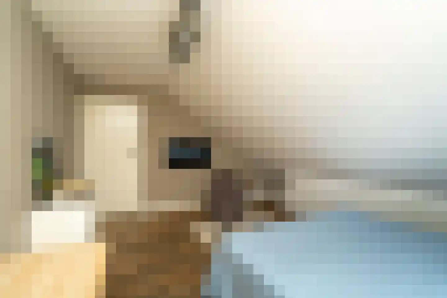 Ekkersrijt 39 Tilburg thumbnail 41