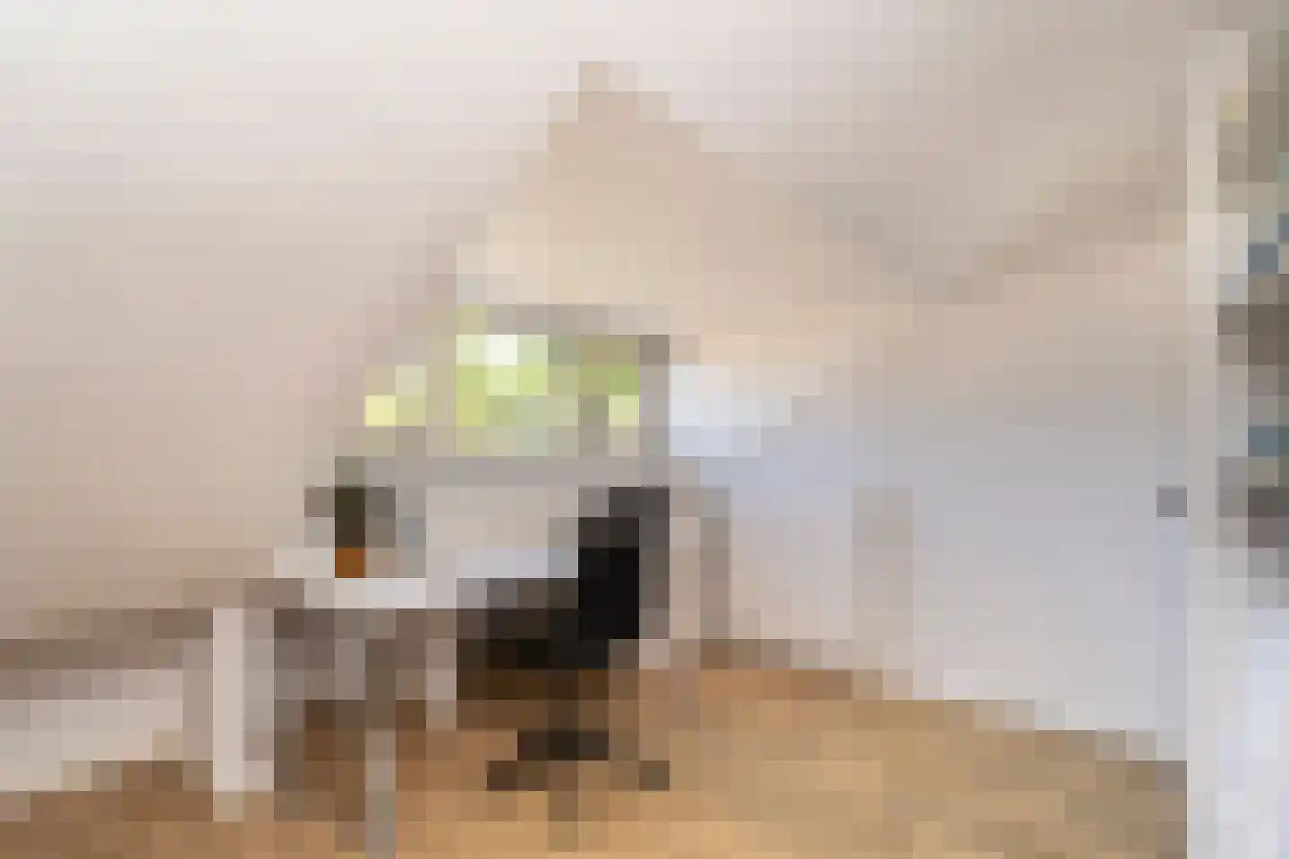 Ekkersrijt 39 Tilburg thumbnail 45