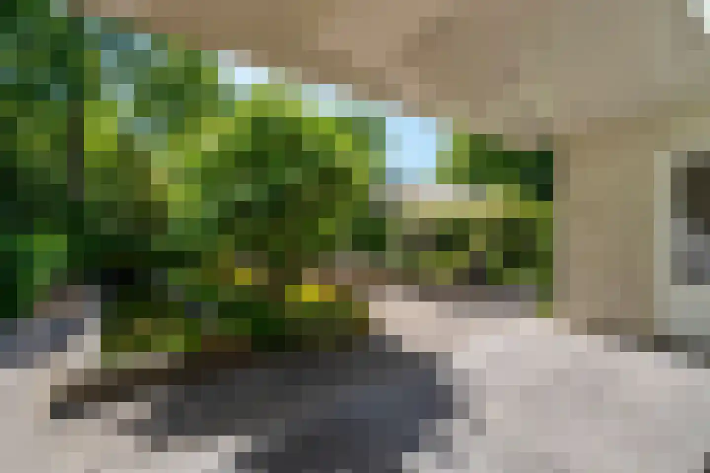 Ekkersrijt 39 Tilburg thumbnail 53
