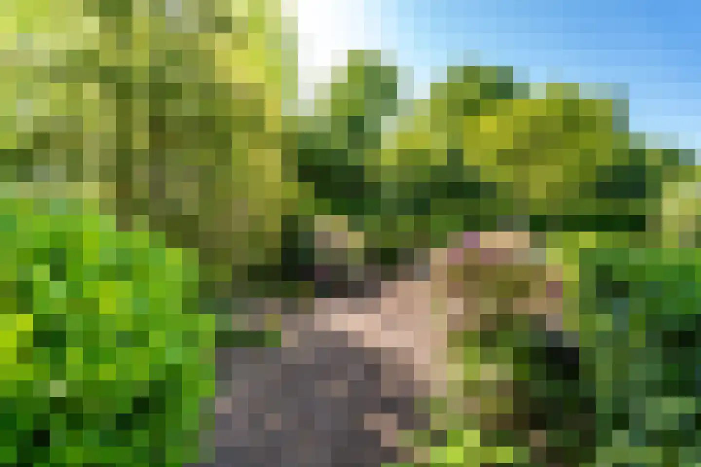 Ekkersrijt 39 Tilburg thumbnail 66