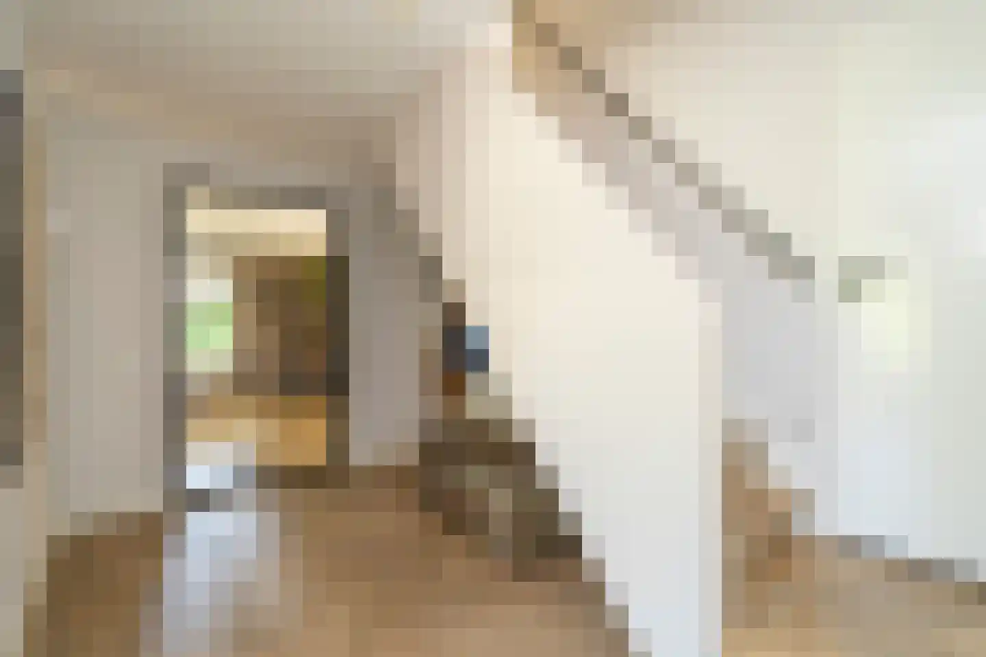 Ekkersrijt 39 Tilburg thumbnail 8