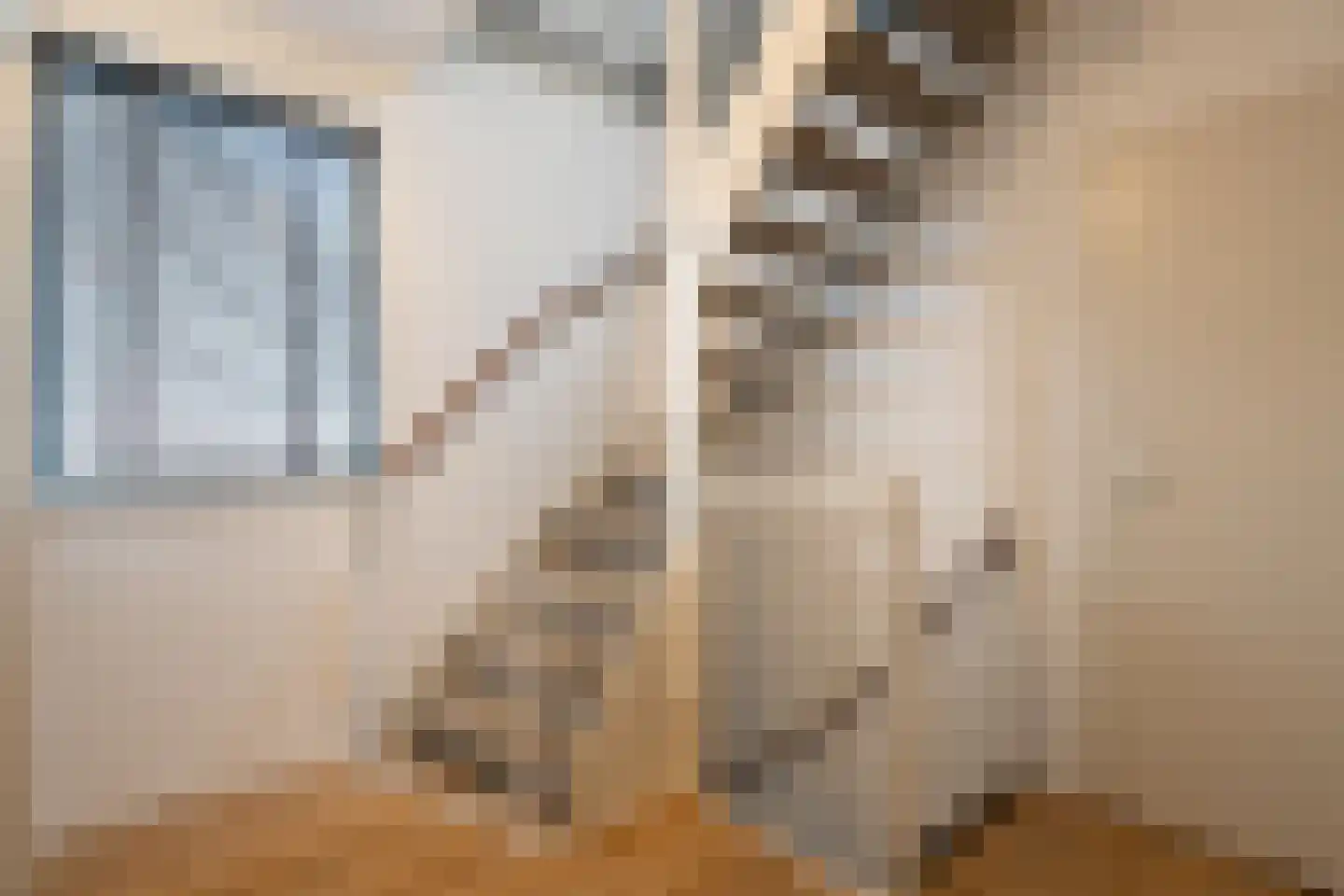 Ekkerstraat 59 Eindhoven thumbnail 16