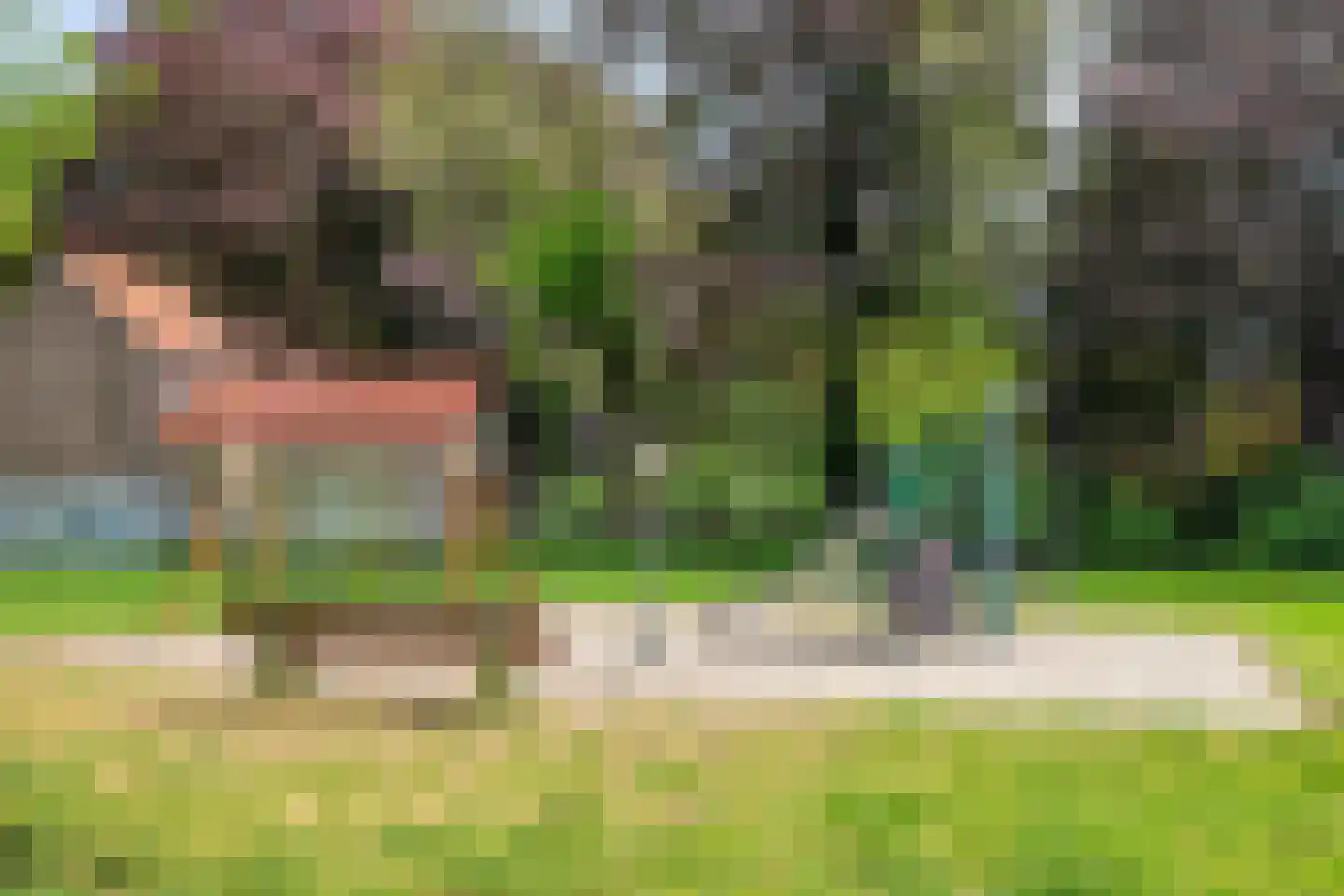 Ekkerstraat 59 Eindhoven thumbnail 36