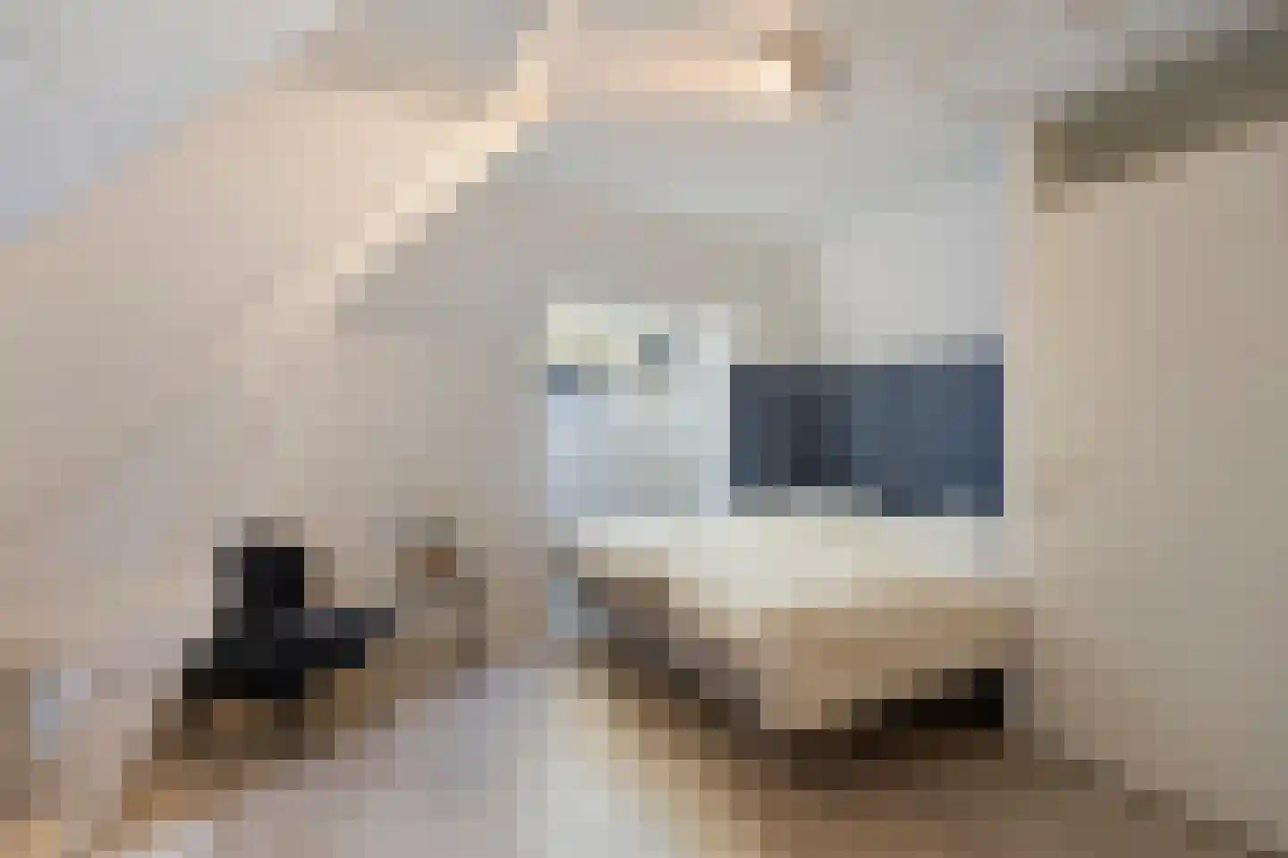 Ekkerstraat 79 Eindhoven thumbnail 19