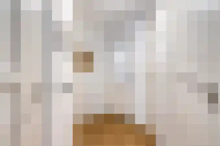 Ekkerstraat 83 Eindhoven thumbnail 4