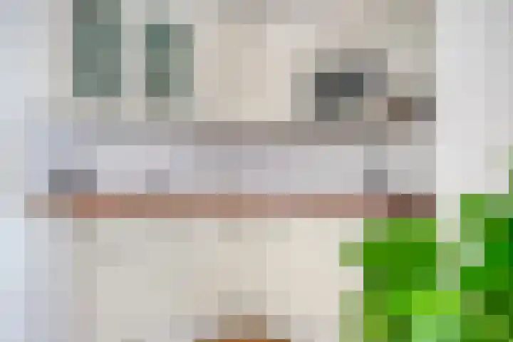 Ekkerstraat 83 Eindhoven thumbnail 8