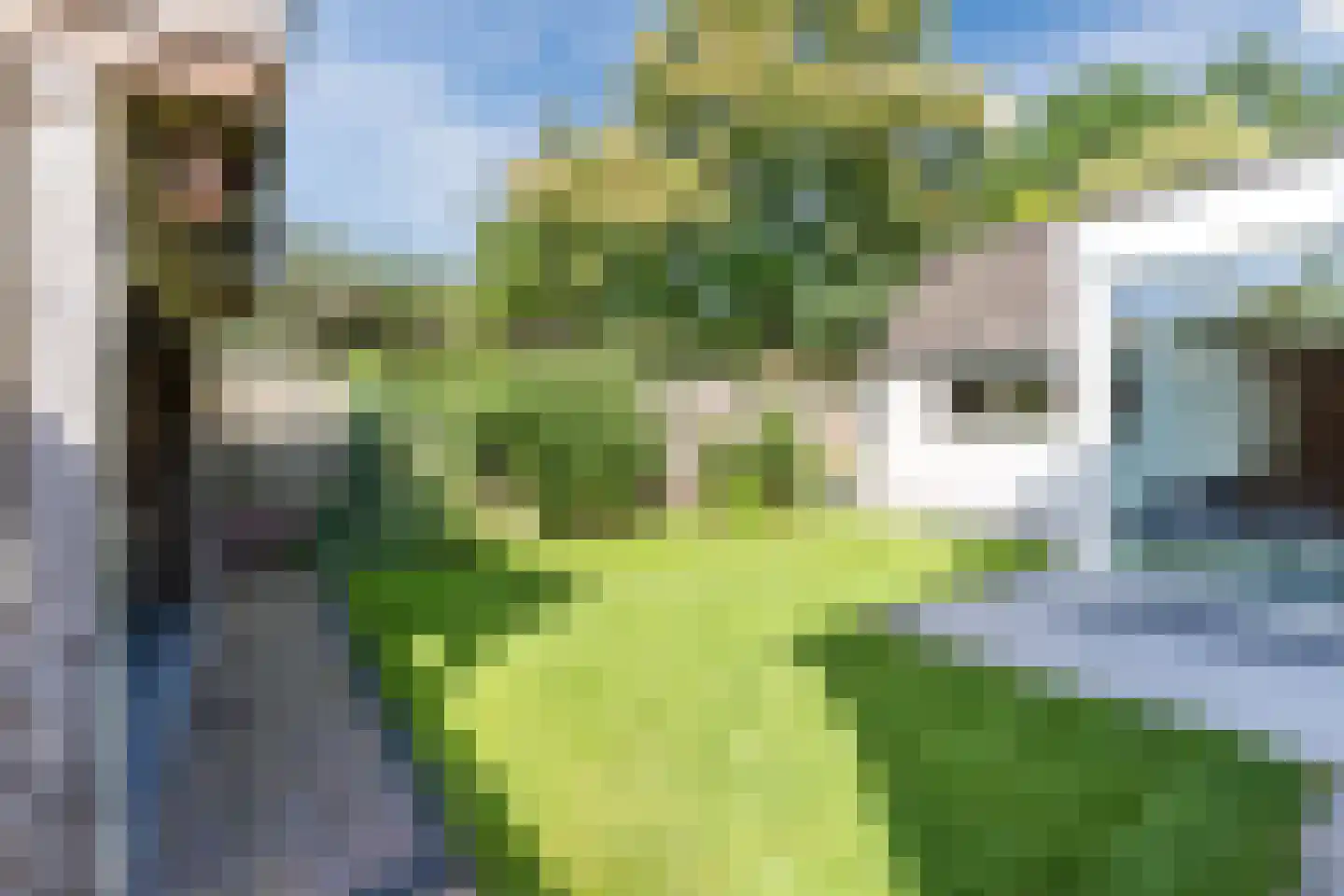 Ekkerweg 7 Westerhoven thumbnail 38