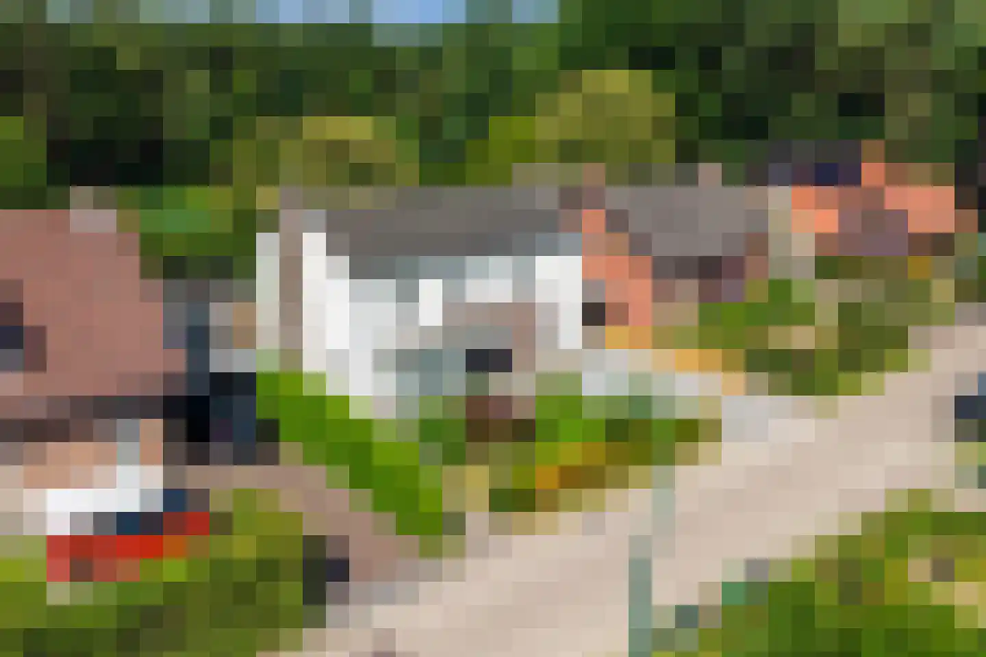 Ekkerweg 7 Westerhoven thumbnail 46