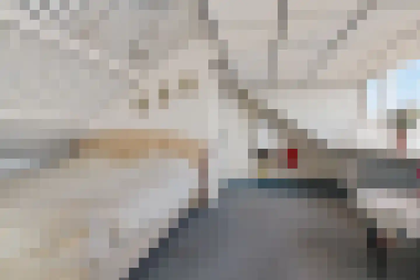 Ekris 30 Woudenberg thumbnail 29