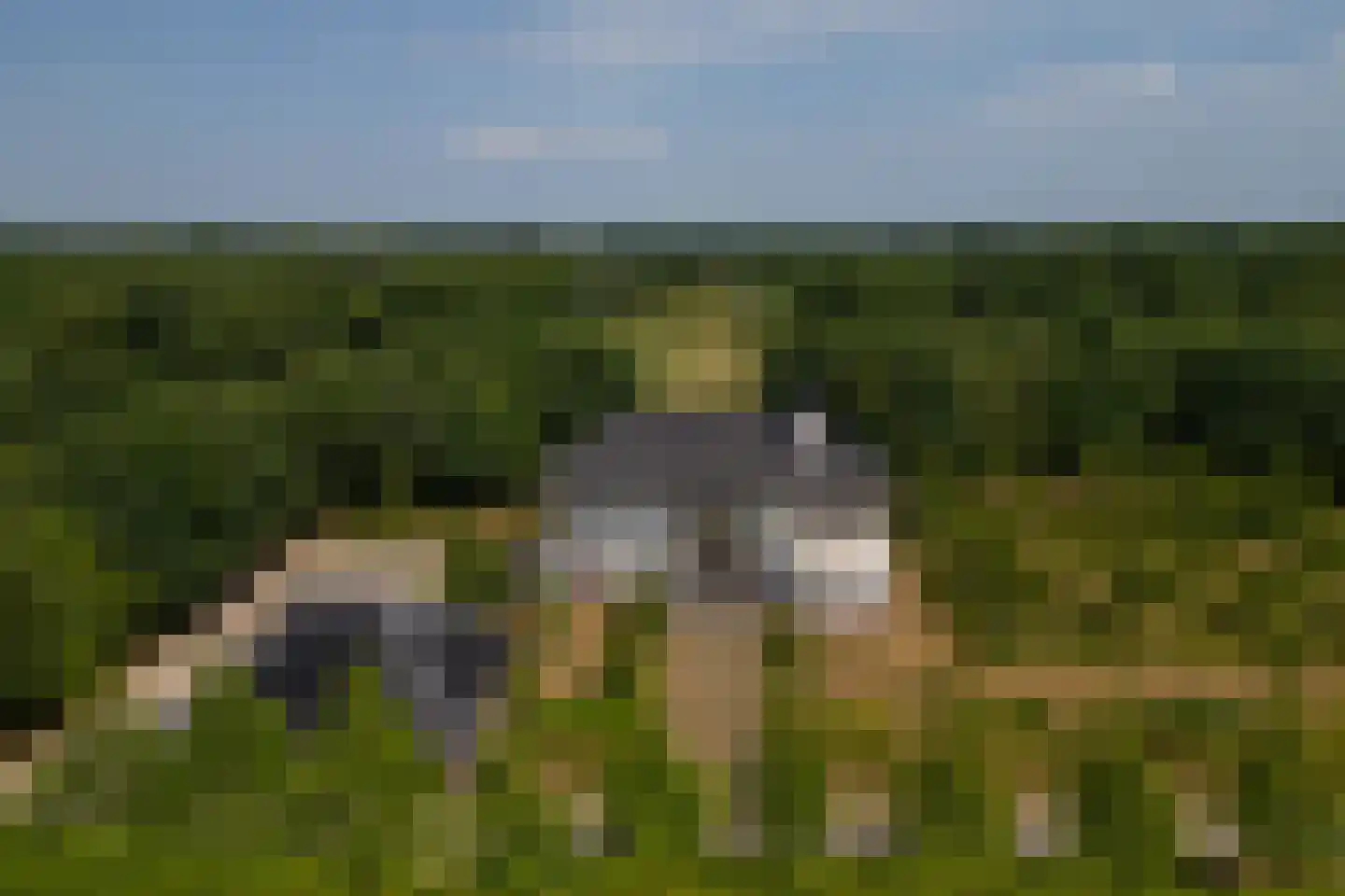 Ekris 72 b Woudenberg thumbnail 10