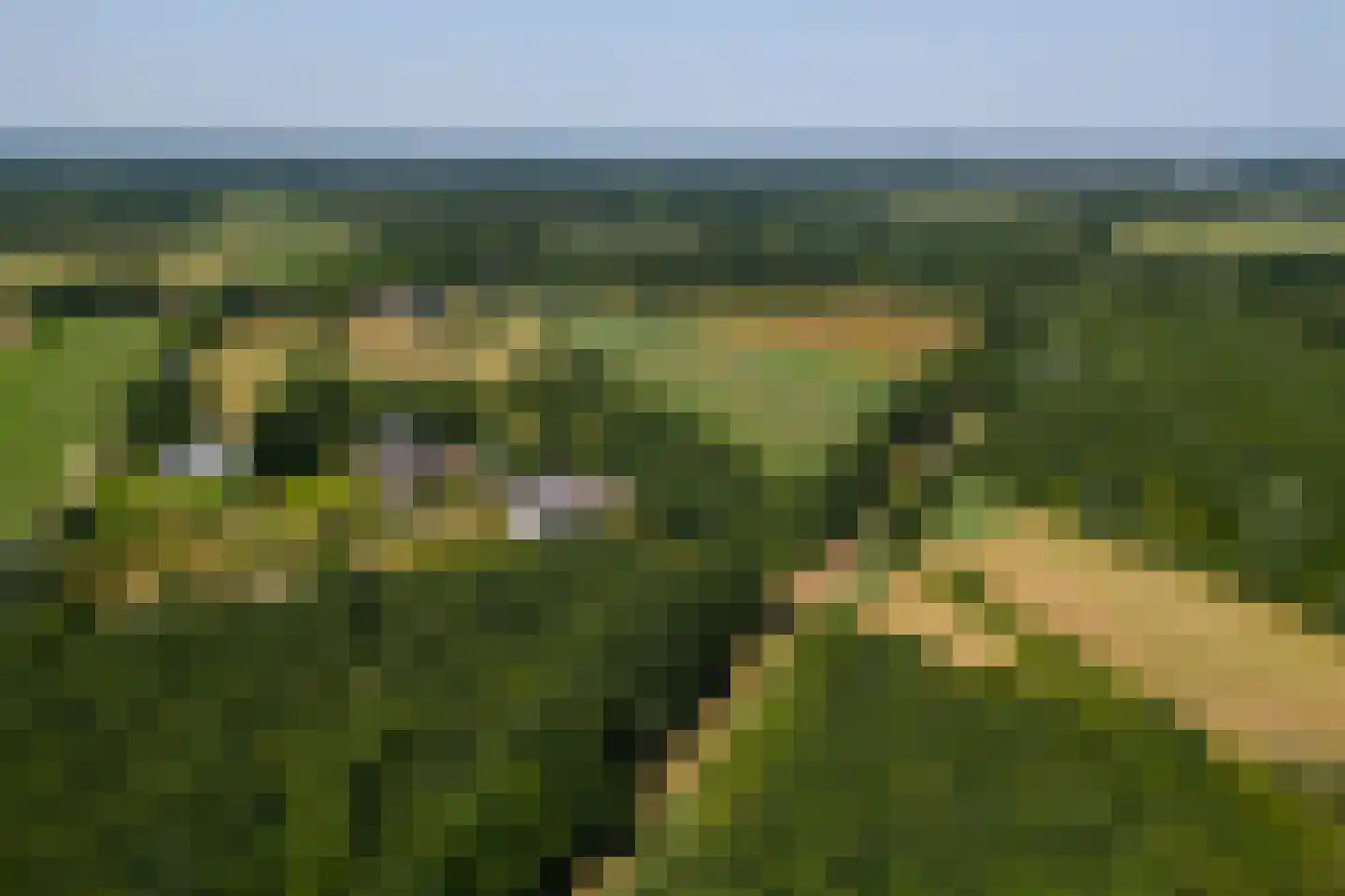 Ekris 72 b Woudenberg thumbnail 12