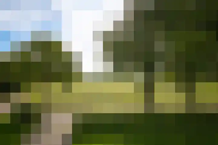 Ekris 87 a Woudenberg thumbnail 17