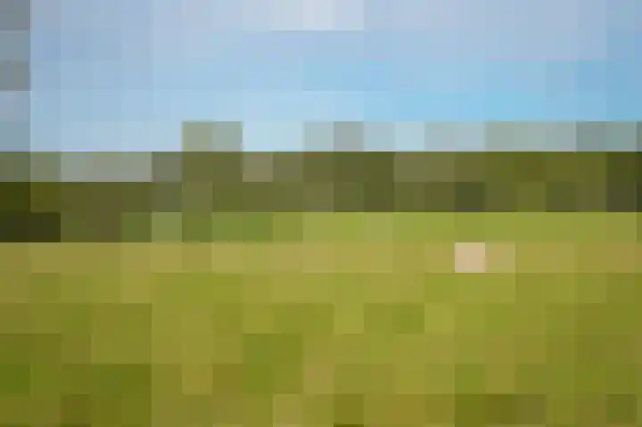 Ekris 87 a Woudenberg thumbnail 20