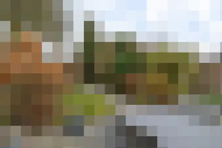 Ekselerbrink 40 Emmen thumbnail 34