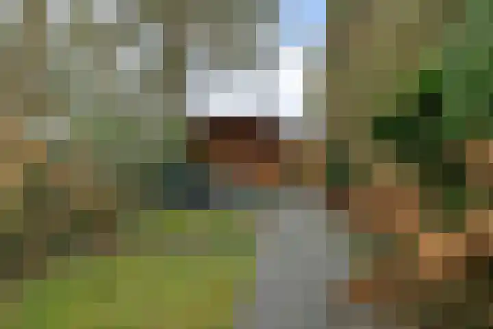 Ekselerbrink 40 Emmen thumbnail 35