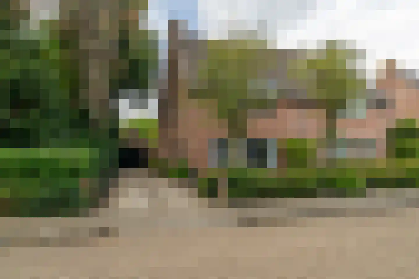 Ekster 1 in Sprang-Capelle