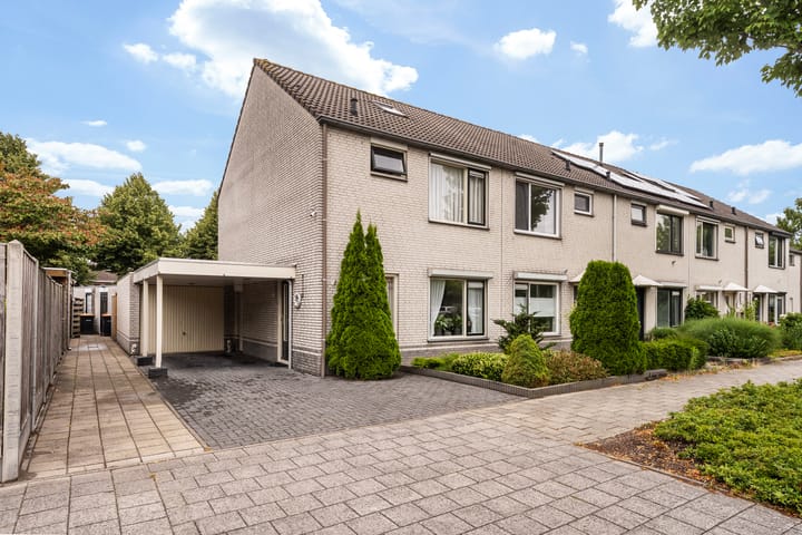 Ekster 1 in Raalte Foto