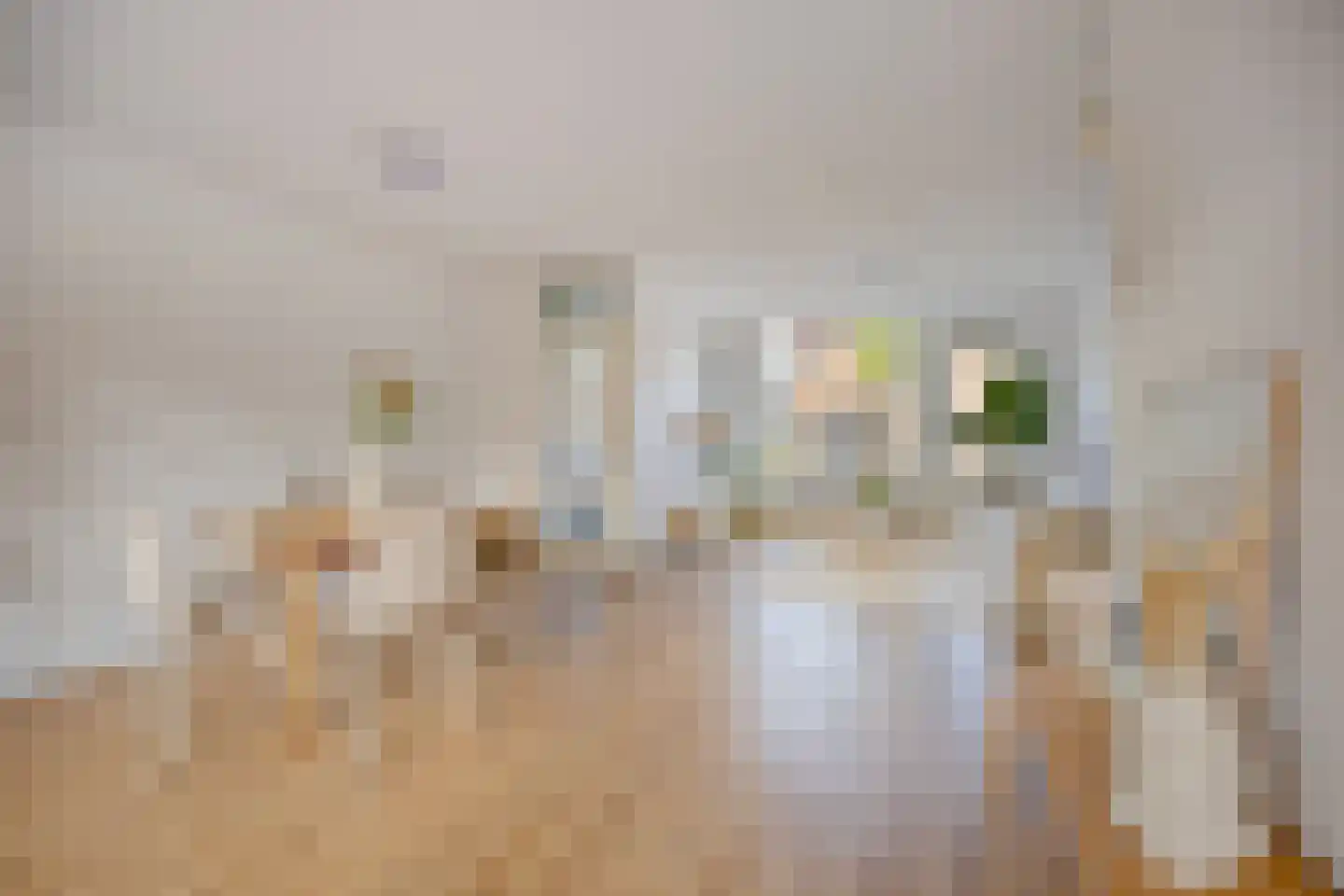 Ekster 12 Hoorn thumbnail 12