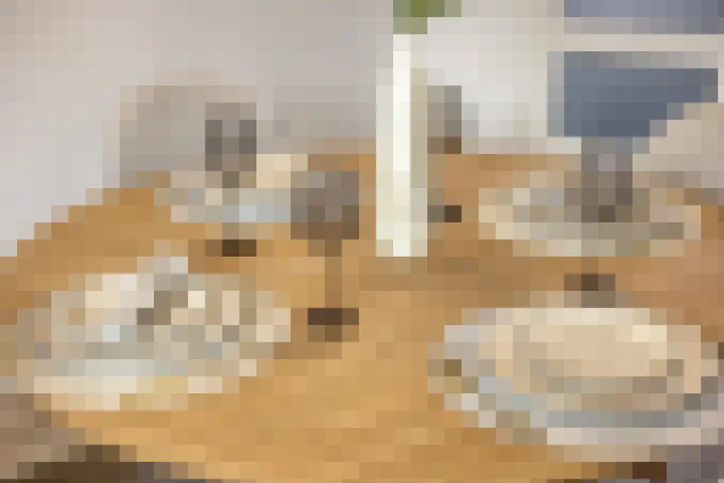 Ekster 12 Hoorn thumbnail 14