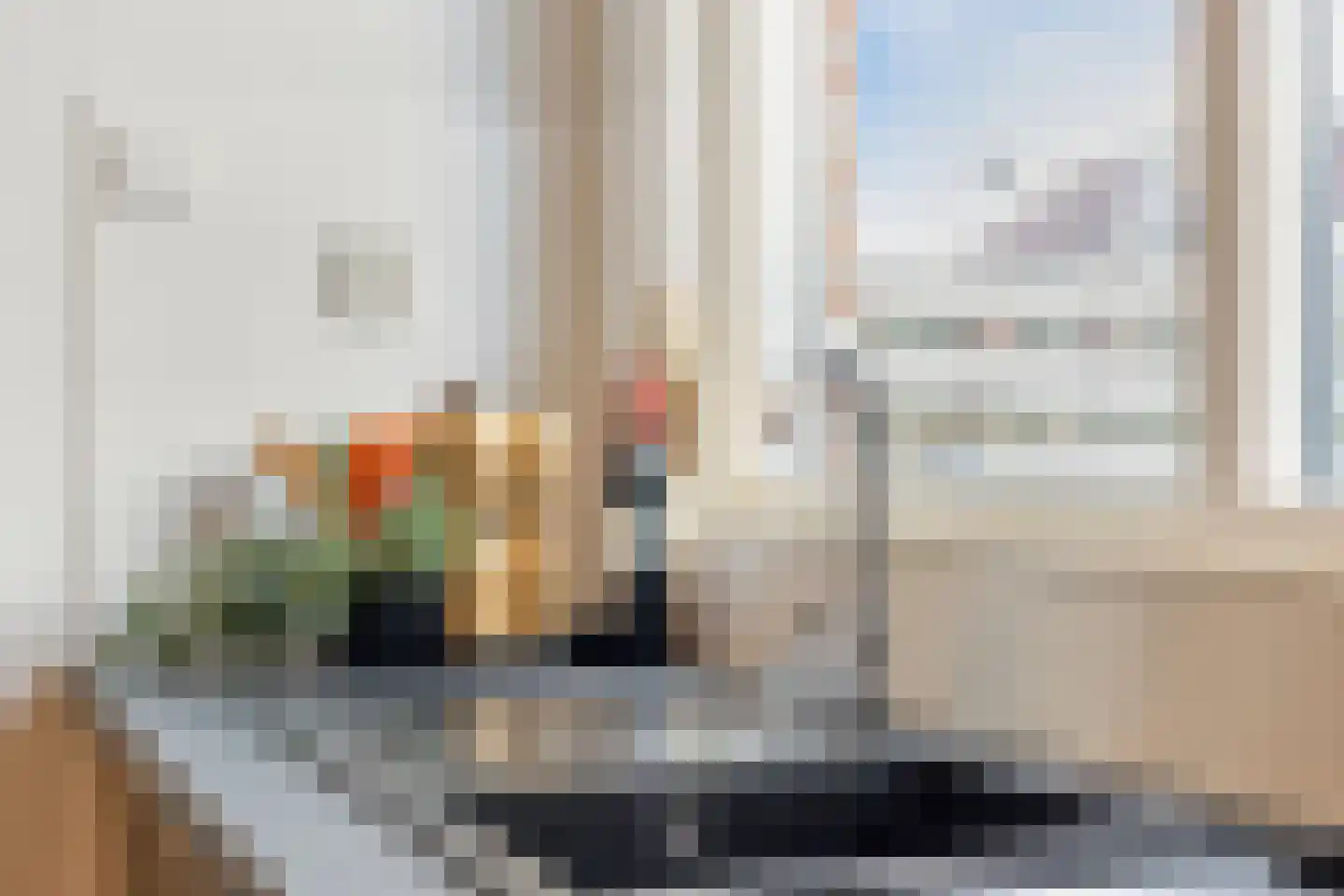 Ekster 12 Hoorn thumbnail 15