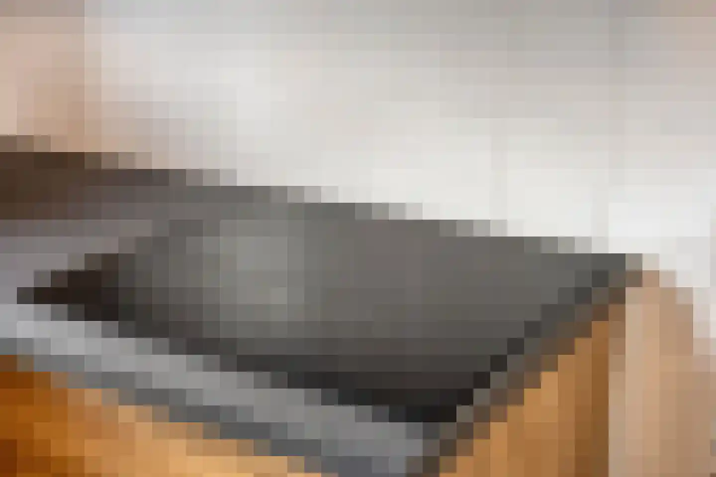 Ekster 12 Hoorn thumbnail 16