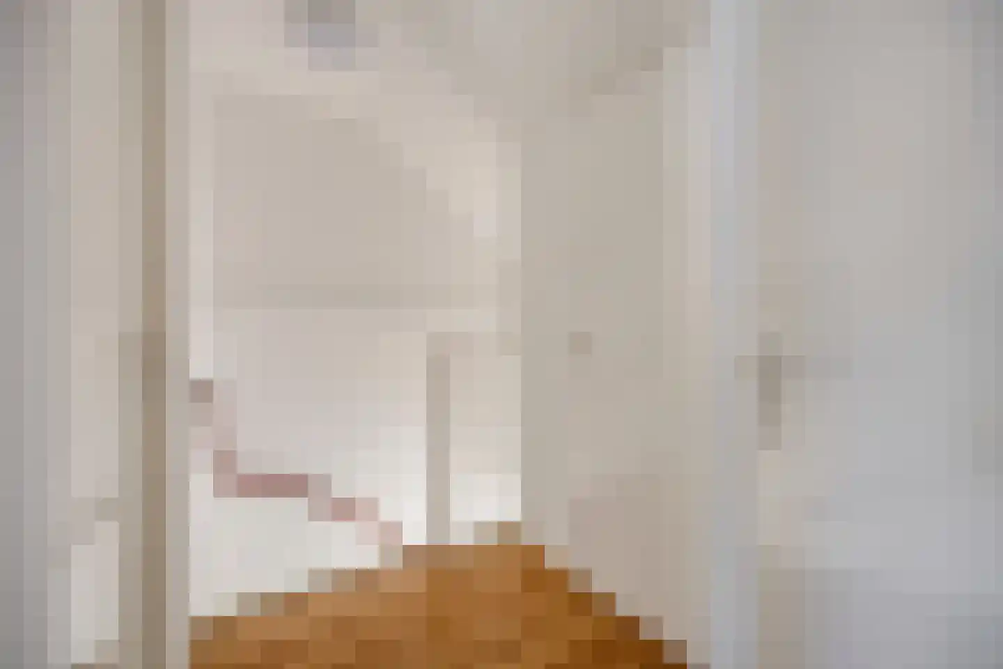 Ekster 12 Hoorn thumbnail 17