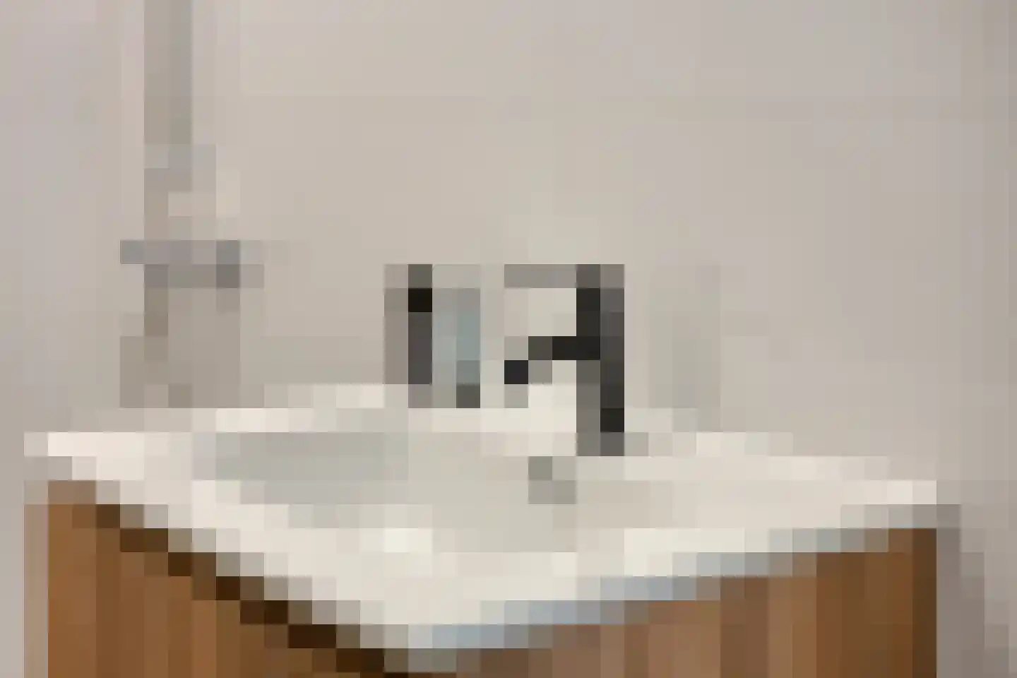 Ekster 12 Hoorn thumbnail 23