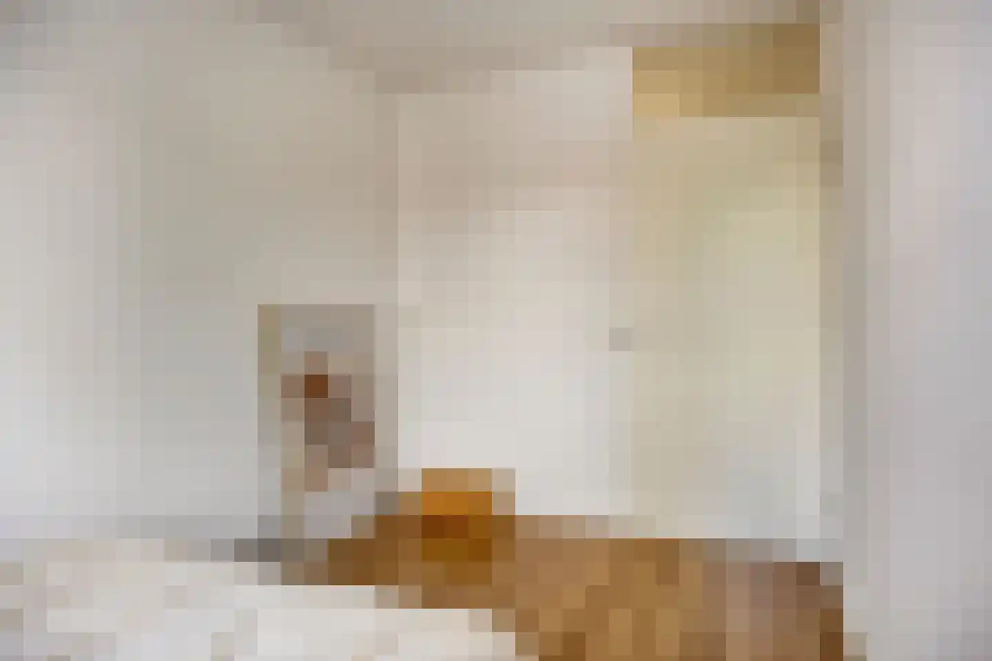 Ekster 12 Hoorn thumbnail 25