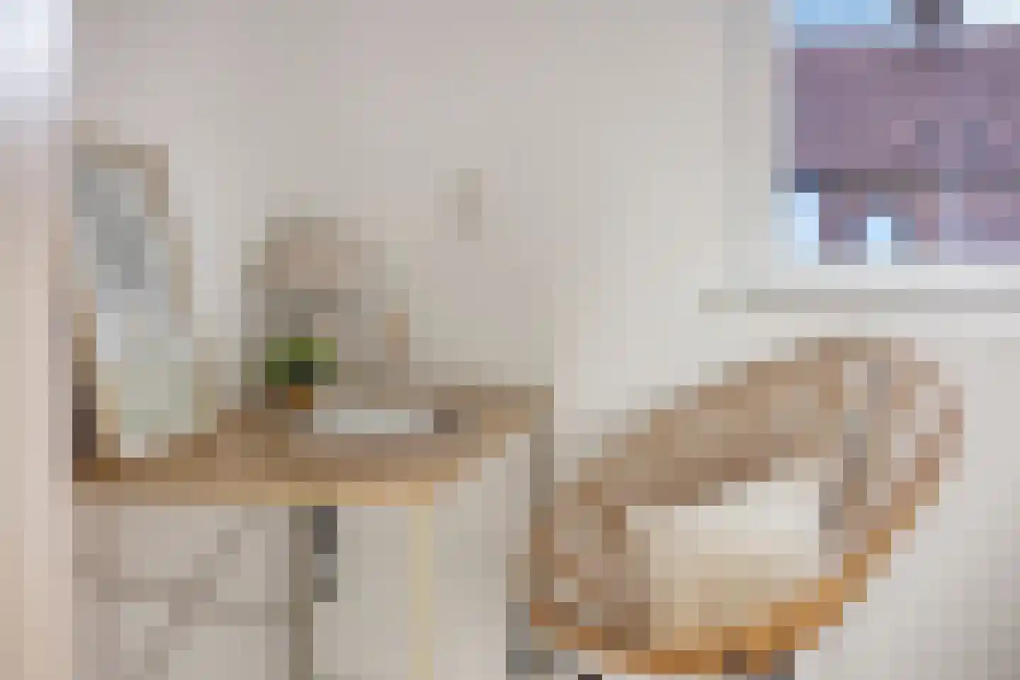 Ekster 12 Hoorn thumbnail 29