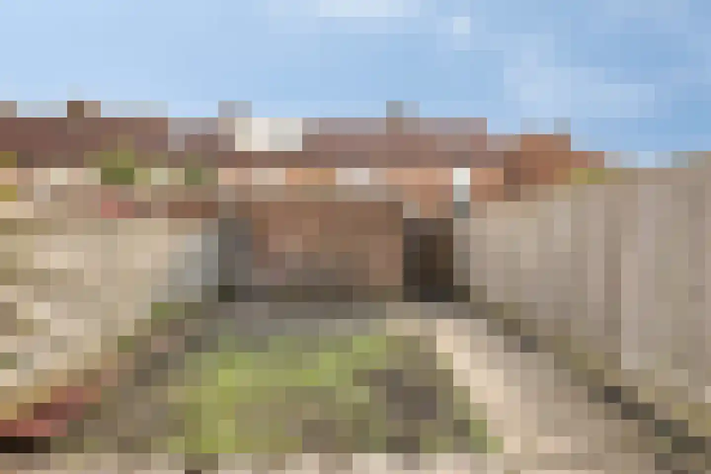 Ekster 12 Hoorn thumbnail 30