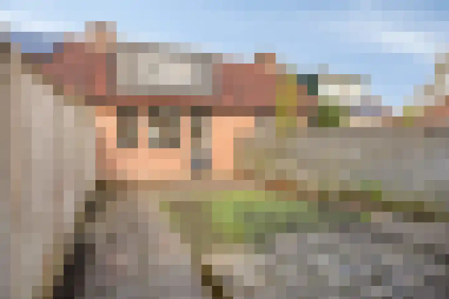 Ekster 12 Hoorn thumbnail 31