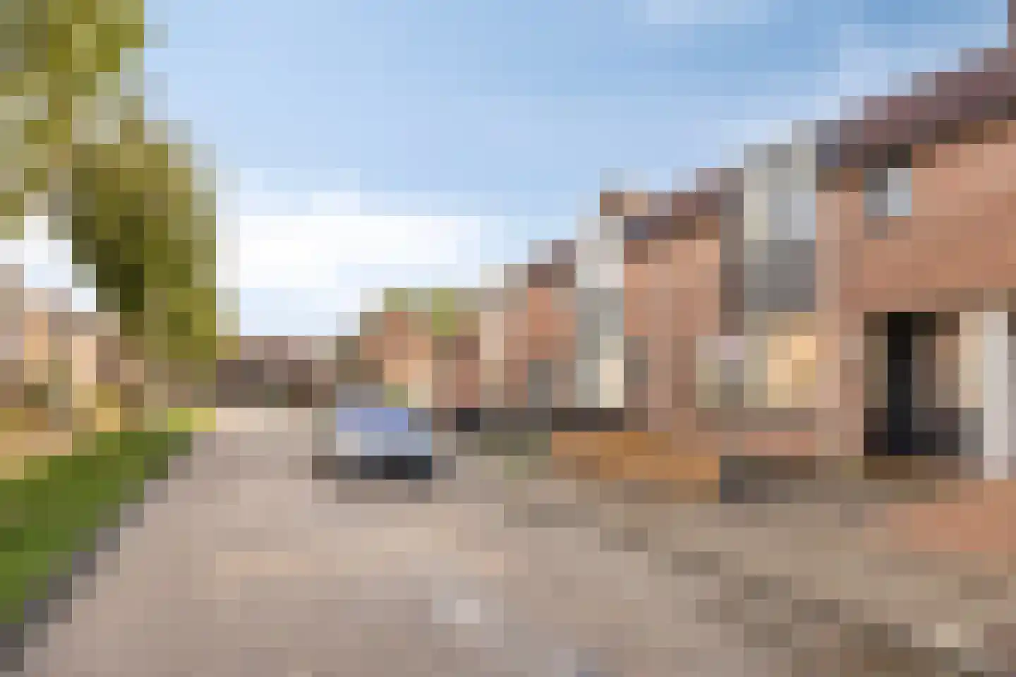 Ekster 12 Hoorn thumbnail 32