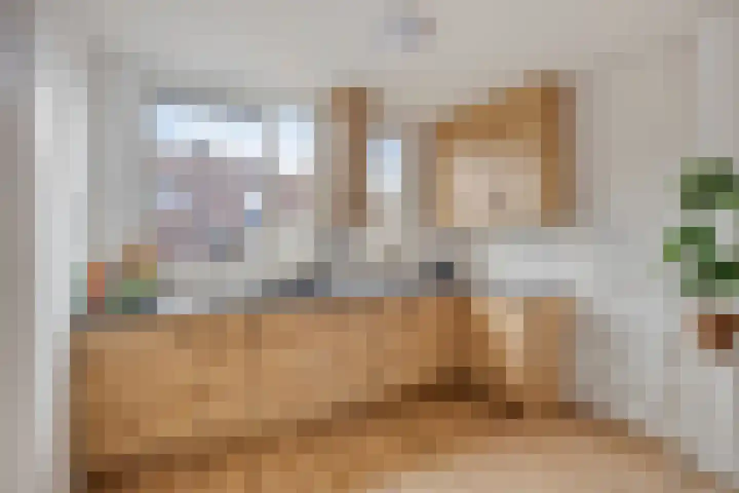 Ekster 12 Hoorn thumbnail 4
