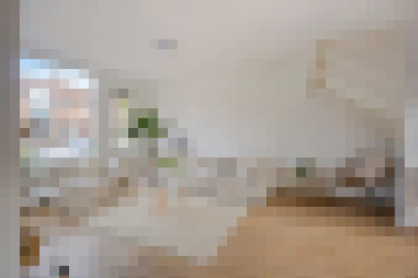 Ekster 12 Hoorn thumbnail 7
