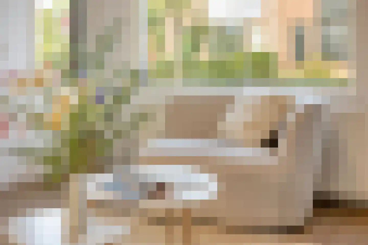 Ekster 12 Hoorn thumbnail 9