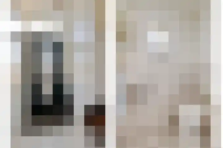 Ekster 13 Boxmeer thumbnail 10