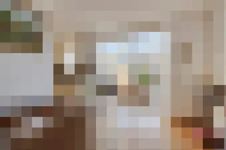 Ekster 13 Boxmeer thumbnail 14