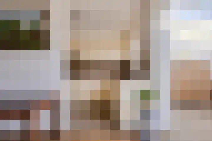 Ekster 13 Boxmeer thumbnail 15